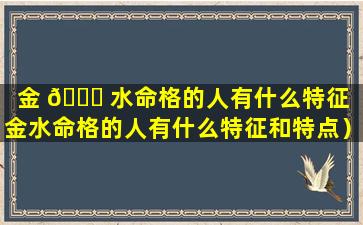 金 🐎 水命格的人有什么特征（金水命格的人有什么特征和特点）